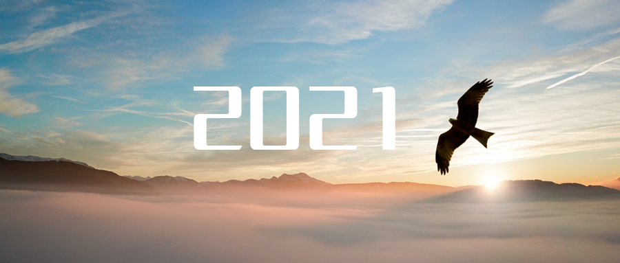 乘“峰”而上，智“盈”未来 ——2021年巅峰国际环境高级资深副总裁新年开工动员